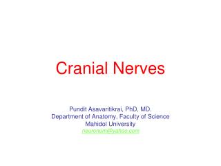 Cranial Nerves