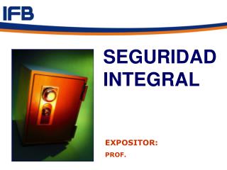 SEGURIDAD INTEGRAL