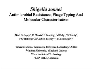 Shigella sonnei Antimicrobial Resistance, Phage Typing And Molecular Characterisation