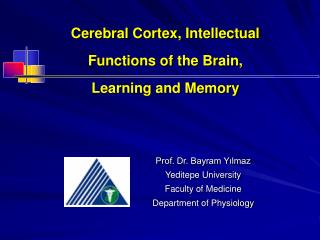Cerebral Cortex, Intellectual Functions of the Brain, Learning and Memory