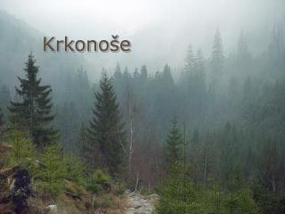 Krkonoše