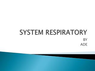 SYSTEM RESPIRATORY