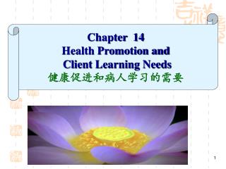 Chapter 14 Health Promotion and Client Learning Needs 健康促进和病人学习的需要