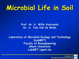 Microbial Life in Soil