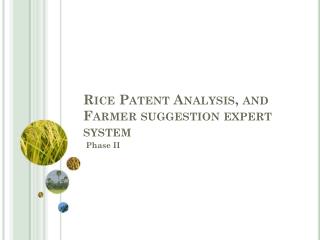 Rice Patent Analysis, and Farmer suggestion expert system