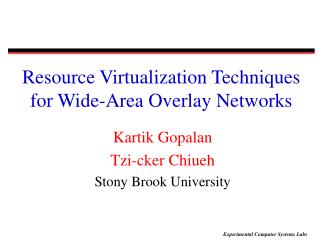 Resource Virtualization Techniques for Wide-Area Overlay Networks