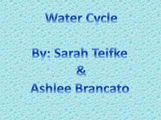Water Cycle By: Sarah Teifke &amp; Ashlee Brancato