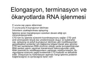 Elongasyon, terminasyon ve ökaryotlarda RNA işlenmesi