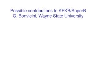 Possible contributions to KEKB/SuperB G. Bonvicini, Wayne State University