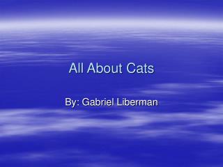 All About Cats