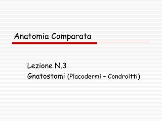 Anatomia Comparata