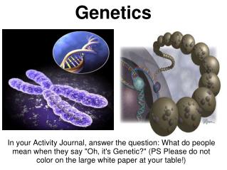 Genetics