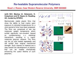 Re-healable Supramolecular Polymers Stuart J. Rowan, Case Western Reserve University, DMR 0602869
