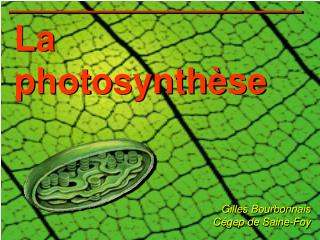 La photosynthèse