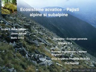Ecosisteme acvatice – Pajisti 	alpine si subalpine