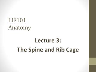 LIF101 Anatomy