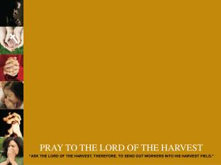 PRAY TO THE LORD OF THE HARVEST