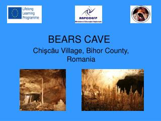 BEARS CAVE