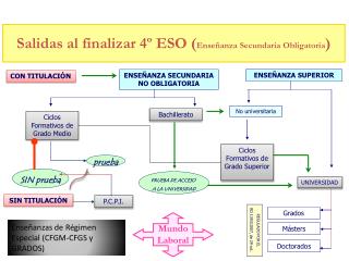 Salidas al finalizar 4º ESO ( Enseñanza Secundaria Obligatoria )