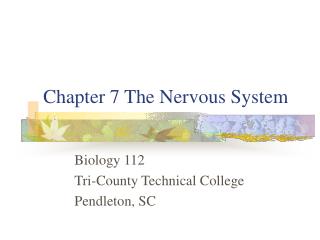 Chapter 7 The Nervous System