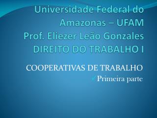 Universidade Federal do Amazonas – UFAM Prof. Eliezer Leão Gonzales DIREITO DO TRABALHO I