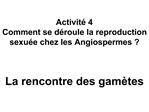 Activit 4 Comment se d roule la reproduction sexu e chez les Angiospermes