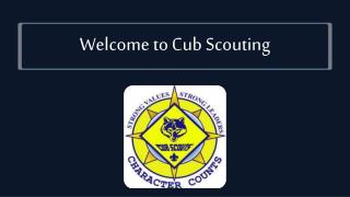 Welcome to Cub Scouting