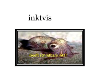 inktvis