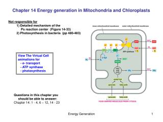 Chapter 14 Energy generation in Mitochondria and Chloroplasts