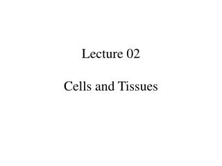 Lecture 02 Cells and Tissues