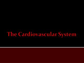 The Cardiovascular System