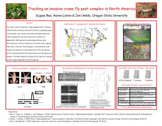 Tracking an invasive crane fly pest complex in North America