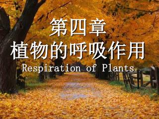 第四章 植物的呼吸作用 Respiration of Plants