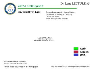 Dr. Timothy F. Lane Jonsson Comprehensive Cancer Center, 			Department of Biological Chemistry