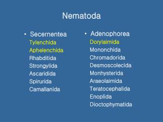 Nematoda