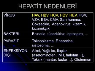 HEPATİT NEDENLERİ