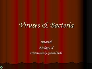 Viruses &amp; Bacteria