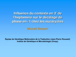 Influence du contexte en 3' de l'heptamère sur le décalage de phase en -1 chez les eucaryotes
