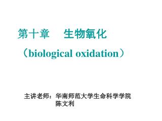 第十章      生物氧化 （ biological oxidation ）