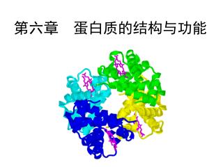 第六章 蛋白质的结构与功能