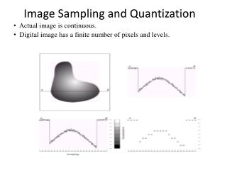 Image Sampling and Quantization