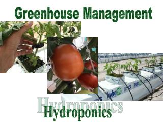 Hydroponics