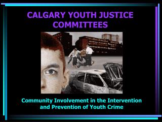 CALGARY YOUTH JUSTICE COMMITTEES