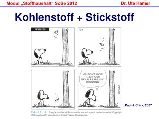 Kohlenstoff + Stickstoff