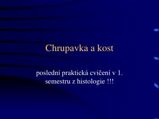 Chrupavka a kost