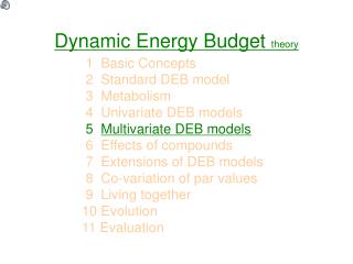 Dynamic Energy Budget theory