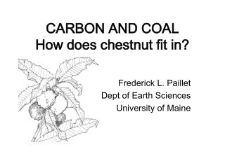 CARBON AND COAL How does chestnut fit in?