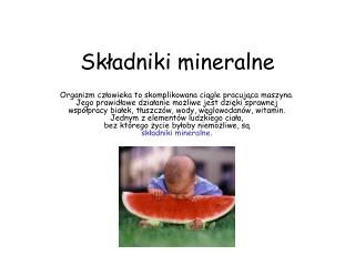 Składniki mineralne