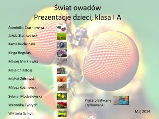 Świat owadów Prezentacje dzieci, klasa I A