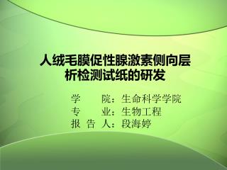 人绒毛膜促性腺激素侧向层析检测试纸的研发